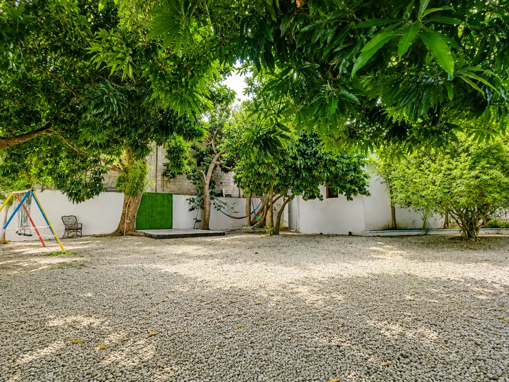 The wide gravel garden and its mature shade trees