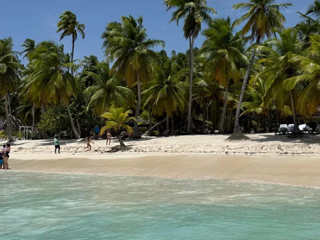 Palms leaning over white sand and turquoise water at Isla Saona